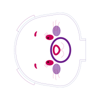 Circle Wedding Circle Wedding