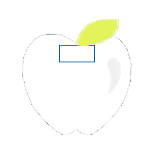 Circle Wedding Circle Wedding