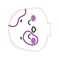 Circle Wedding Circle Wedding