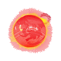 Circle Wedding Circle Wedding