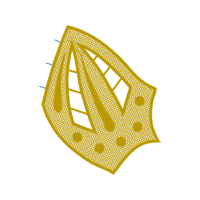 Circle Wedding Circle Wedding