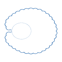 Circle Wedding Circle Wedding