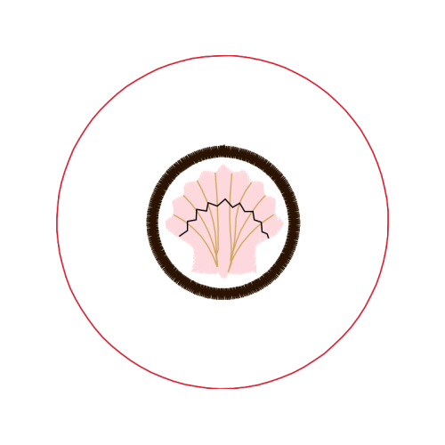 Circle Wedding Circle Wedding