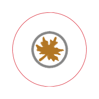 Circle Wedding Circle Wedding