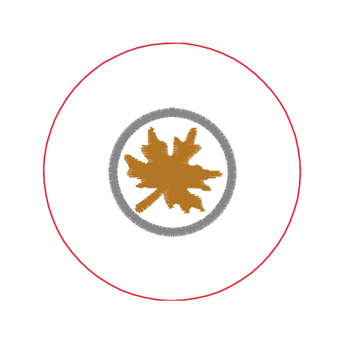 Circle Wedding Circle Wedding