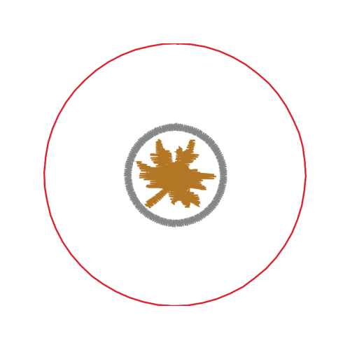 Circle Wedding Circle Wedding