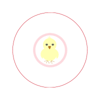 Circle Wedding Circle Wedding