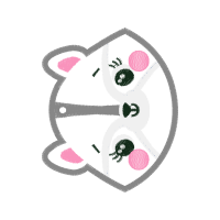 Circle Wedding Circle Wedding