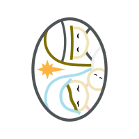 Circle Wedding Circle Wedding