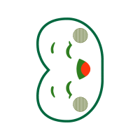 Circle Wedding Circle Wedding