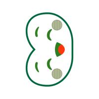 Circle Wedding Circle Wedding