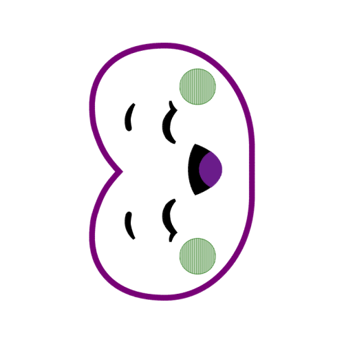 Circle Wedding Circle Wedding