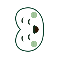 Circle Wedding Circle Wedding