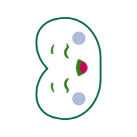 Circle Wedding Circle Wedding