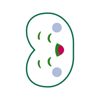 Circle Wedding Circle Wedding