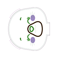 Circle Wedding Circle Wedding