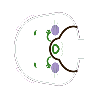 Circle Wedding Circle Wedding