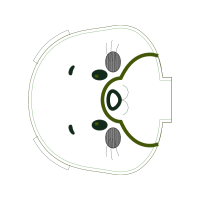 Circle Wedding Circle Wedding