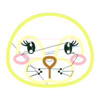 Circle Wedding Circle Wedding