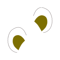 Circle Wedding Circle Wedding