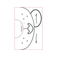 Circle Wedding Circle Wedding