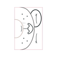 Circle Wedding Circle Wedding