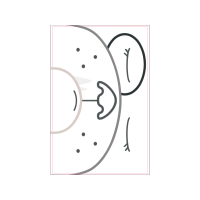 Circle Wedding Circle Wedding