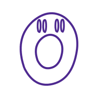 Circle Wedding Circle Wedding