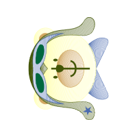 Clock Wedding Clock Wedding