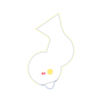 Colorfulness Wedding