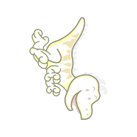 Coloring Book Wedding Coloring Book Wedding