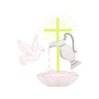 Columbidae Wedding Columbidae Wedding