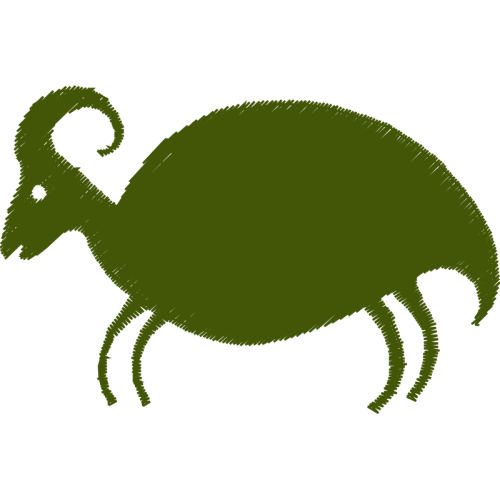 Common Chameleon Wedding Common Chameleon Wedding