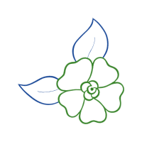 Dharani Wedding Dharani Wedding