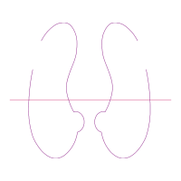 Diagram Wedding Diagram Wedding