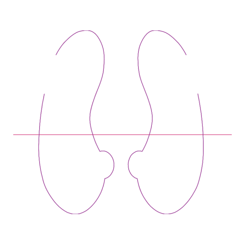 Diagram Wedding Diagram Wedding