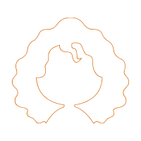 Diagram Wedding Diagram Wedding