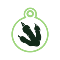 Dinosaur Wedding Dinosaur Wedding