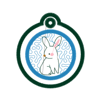 Domestic Rabbit Wedding