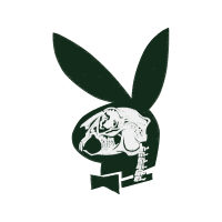 Domestic Rabbit Wedding