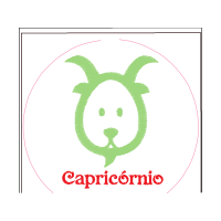 Domestic Rabbit Wedding