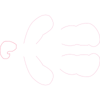 Drawing Wedding Drawing Wedding