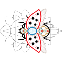 Drawing Wedding Drawing Wedding