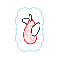 Drawing Wedding Drawing Wedding