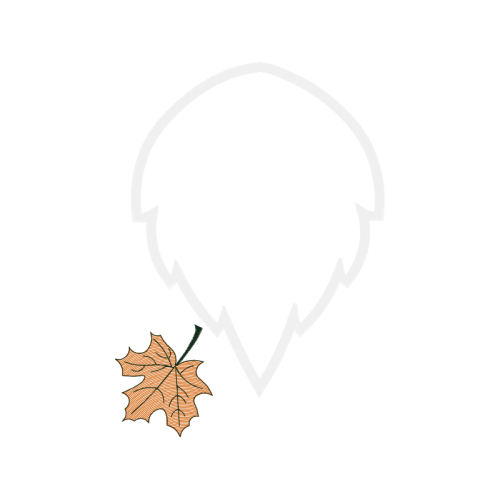 Drawing Wedding Drawing Wedding