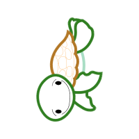 Drawing Wedding Drawing Wedding