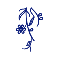 Drawing Wedding Drawing Wedding