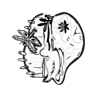 Drawing Wedding Drawing Wedding