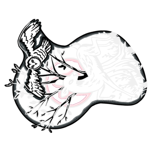 Drawing Wedding Drawing Wedding