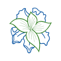 Drawing Wedding Drawing Wedding